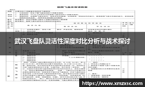 武汉飞盘队灵活性深度对比分析与战术探讨